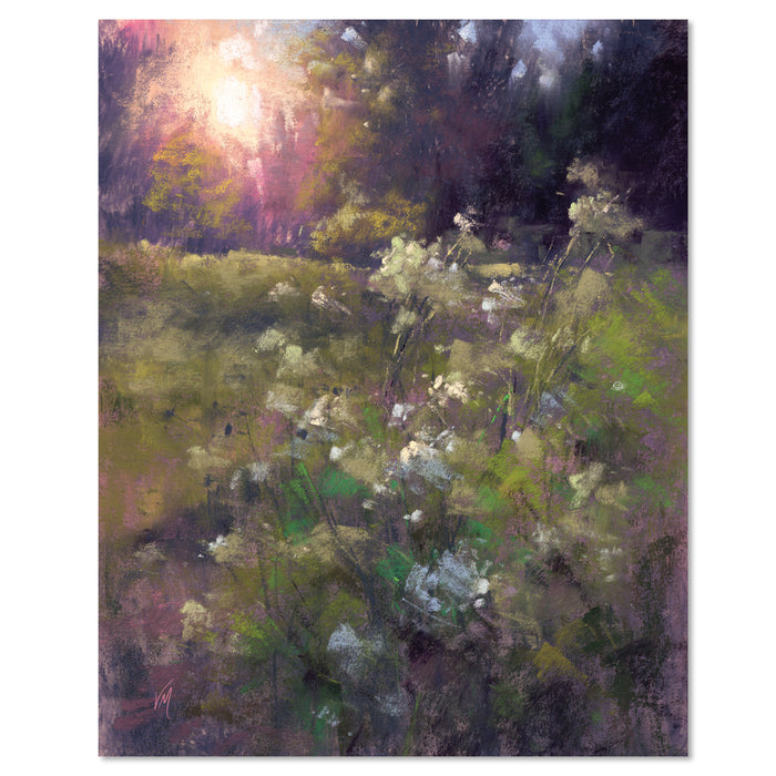 Glowing Queen Anne's Lace | Fine Art Giclée Print